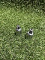 Topes anticaída para moto - Imagen 2