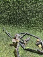 Cableado Honda PX - Imagen 4