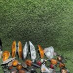 Pack Intermitentes Moto Varios Modelos