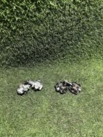 Pack 2 juegos de calas para ciclismo