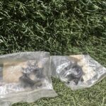 2 Piñones 9D KTM Sx50