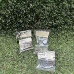 Kit Reparación Bomba Agua 40mm