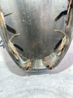 Asiento Vespa 150s - Imagen 14