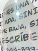 Cúpula Peugeot Satelis - Imagen 6
