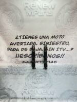 Amortiguadores Peugeot Satelis