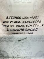 Eje motor Peugeot Satelis