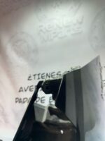 Frontal Peugeot Satelis - Imagen 11