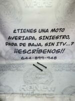 Ejes soporte motor Kawasaki Zephyr 750