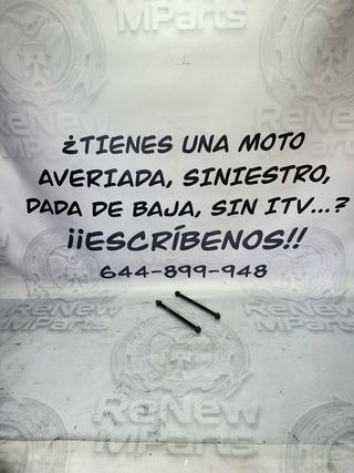 Ejes soporte motor Kawasaki Zephyr 750