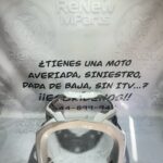Contraescudo Daelim S3